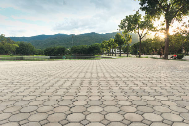 Best Driveway Paver Repair  in Breaux Bridge, LA