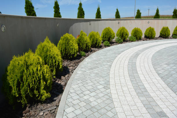 Reasons to Select Us for Your Driveway Paving Requirements in Breaux Bridge, LA